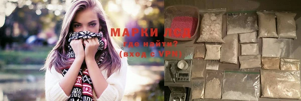 прущие грибы Переславль-Залесский