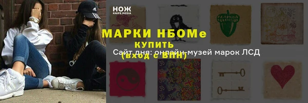 прущие грибы Переславль-Залесский