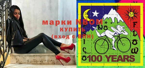 прущие грибы Переславль-Залесский