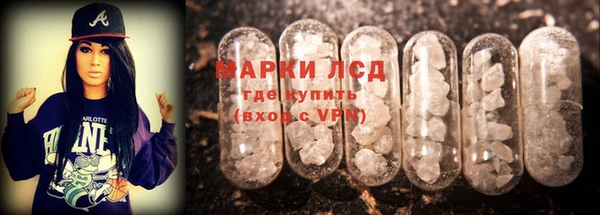 прущие грибы Переславль-Залесский