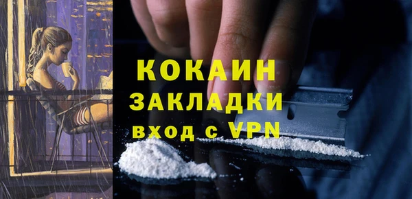 прущие грибы Переславль-Залесский