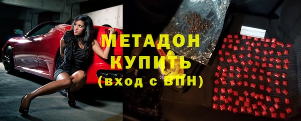 прущие грибы Переславль-Залесский
