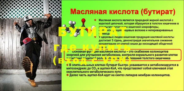 прущие грибы Переславль-Залесский